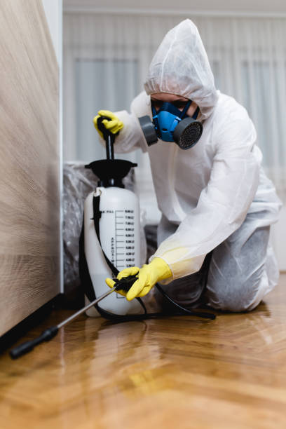 Best Fumigation Services  in Wlow Springs, IL